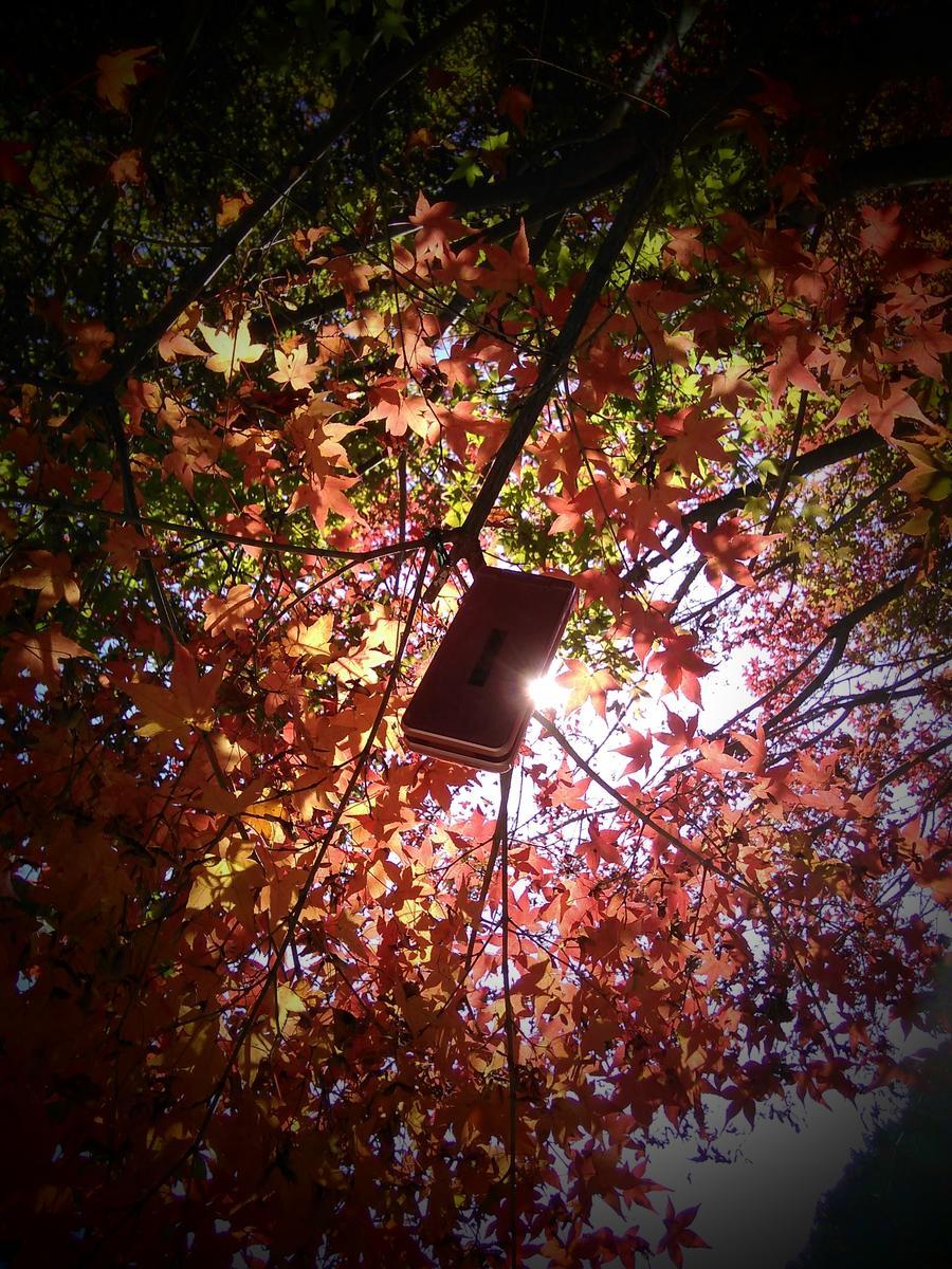 f:id:sakutamatengo:20211107114752j:plain