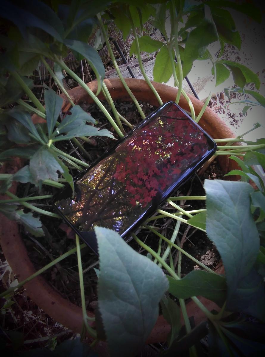 f:id:sakutamatengo:20211107114838j:plain