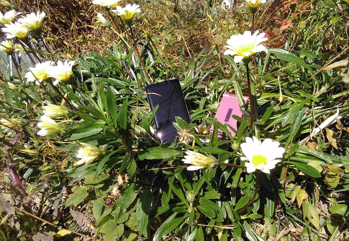 f:id:sakutamatengo:20211107115016j:plain