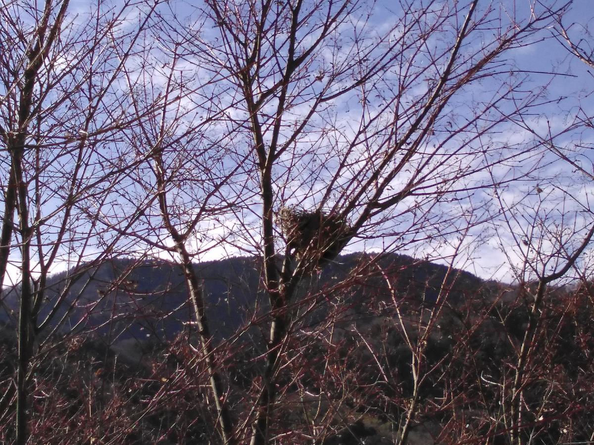 f:id:sakutamatengo:20220115150042j:plain