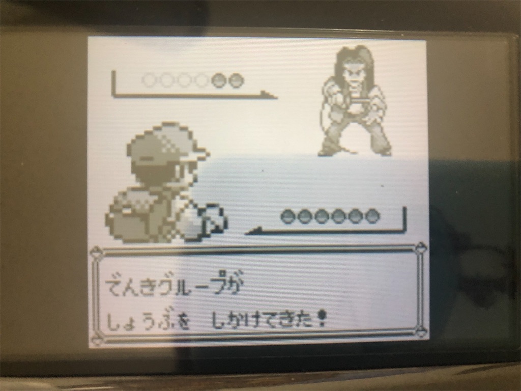 ポケモンvc青版プレイ記録その8 セキチクシティへの道のり とあるヒノアラシのブログ
