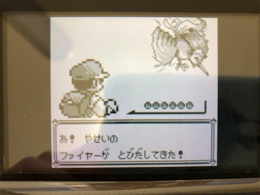 f:id:sakutan355:20211227214943j:image f:id:sakutan355:20211227214943j:image