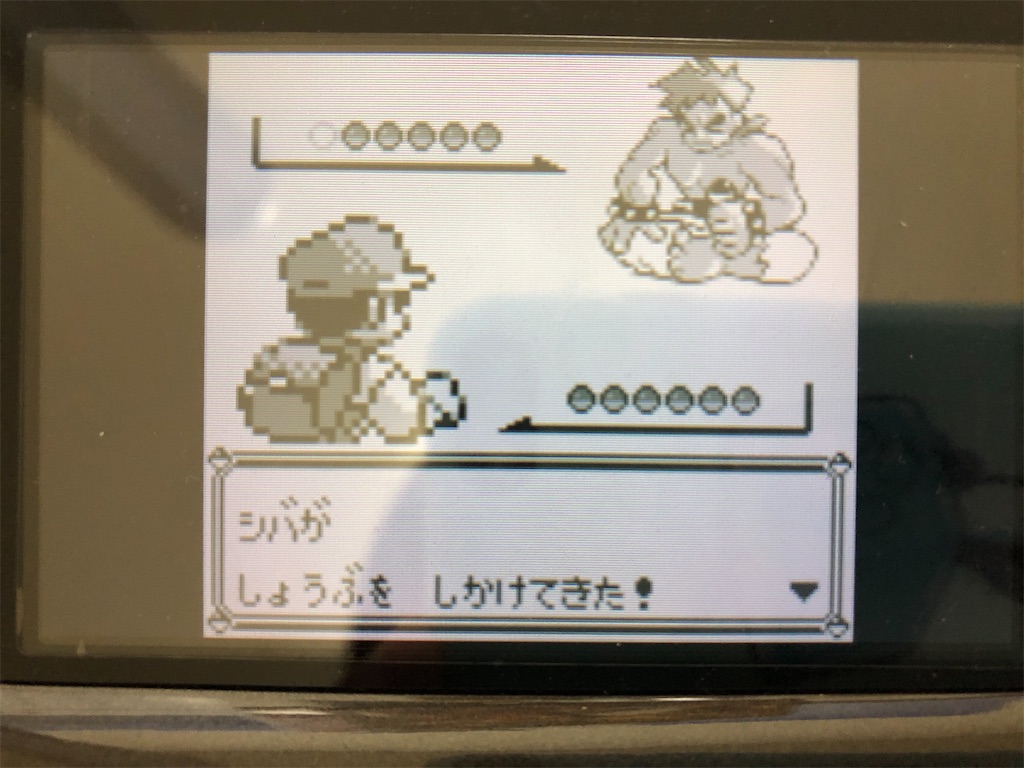 f:id:sakutan355:20211227215030j:image f:id:sakutan355:20211227215030j:image