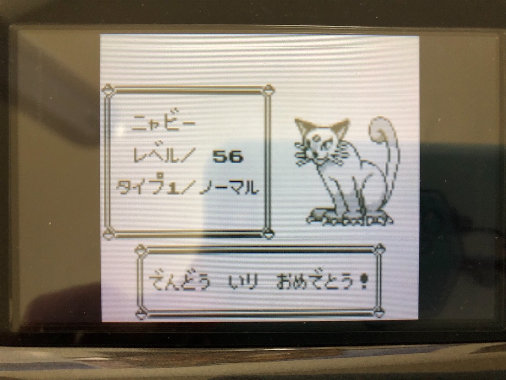 f:id:sakutan355:20211227215041j:image f:id:sakutan355:20211227215041j:image