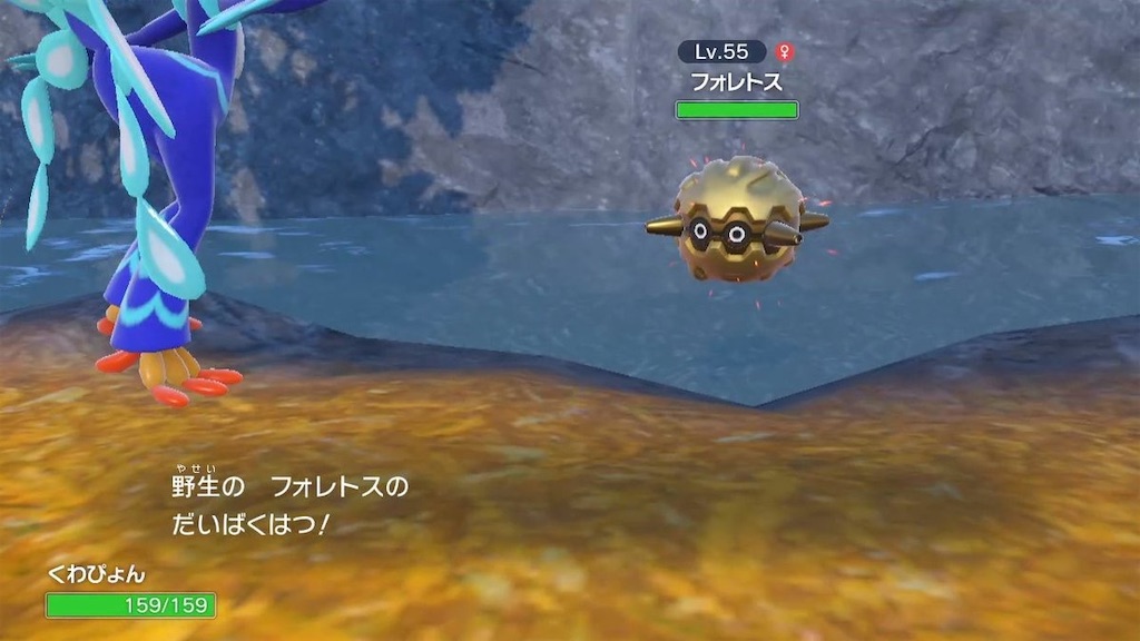 f:id:sakutan355:20230109133102j:image