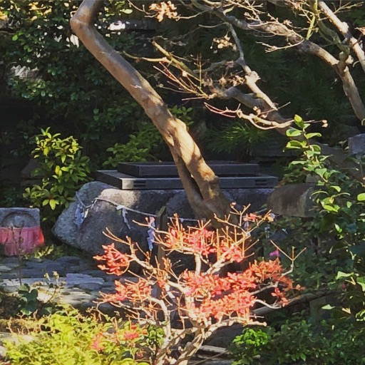 f:id:sakutaro8888:20180524223041j:plain