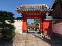 f:id:sakutaro8888:20180526105405j:plain