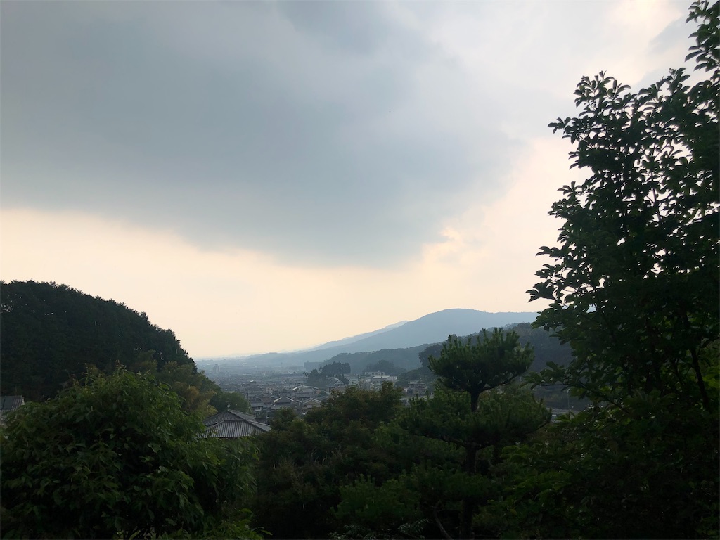 f:id:sakutaro8888:20190623115319j:image f:id:sakutaro8888:20190623115319j:image