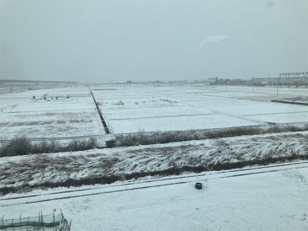 f:id:sakuya_fairithm:20250224171732j:image