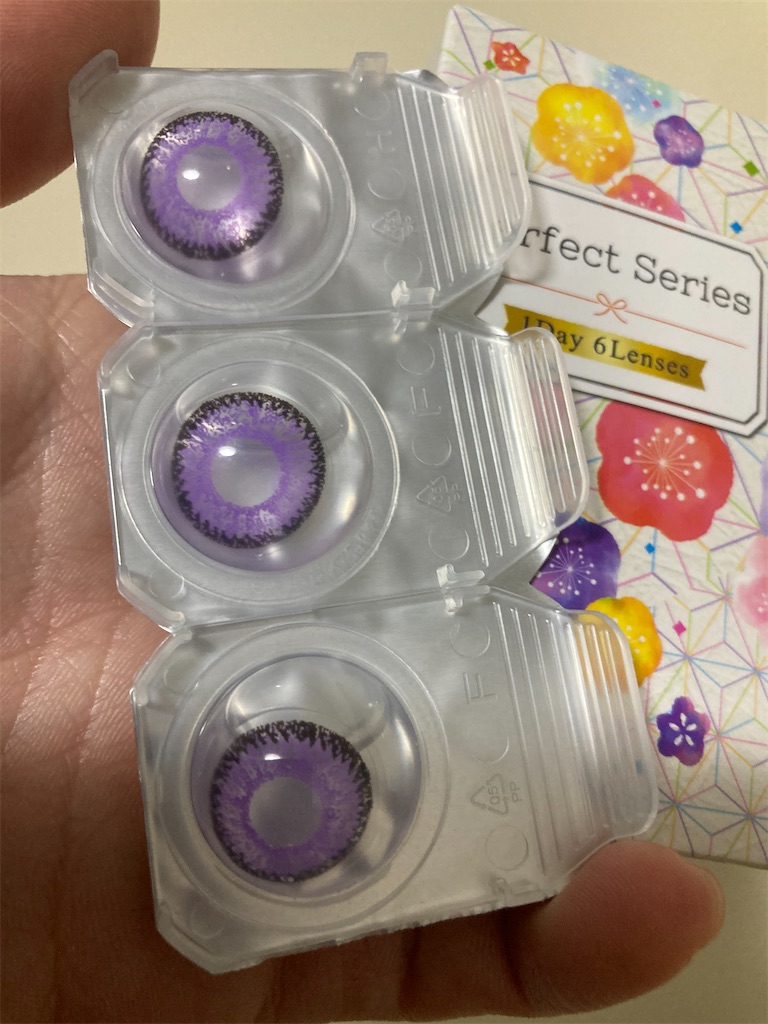 f:id:sakuya_fairithm:20250225065502j:image