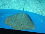 IMG_3025