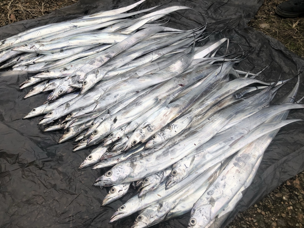 f:id:sakuya_golf:20211025205813j:plain