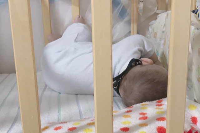f:id:sakuyamama:20190506093516j:plain f:id:sakuyamama:20190506093516j:plain
