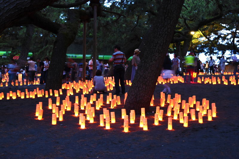 f:id:sakuyaoi:20180623022349j:plain f:id:sakuyaoi:20180623022349j:plain