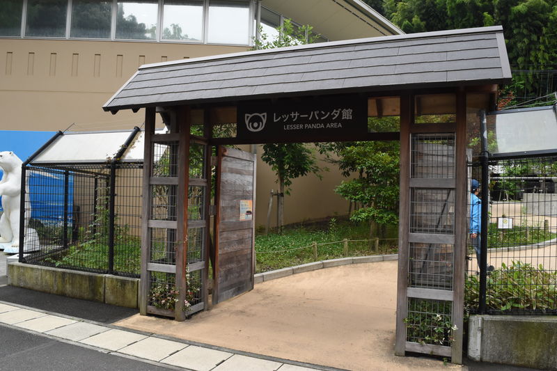 f:id:sakuyaoi:20180701000248j:plain