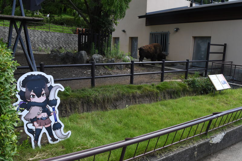 f:id:sakuyaoi:20180701025037j:plain