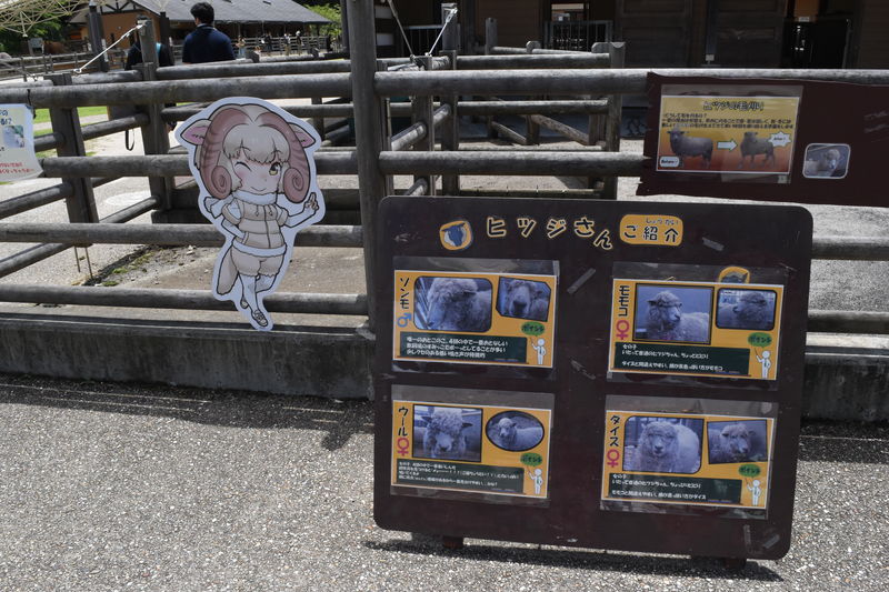 f:id:sakuyaoi:20180701114510j:plain