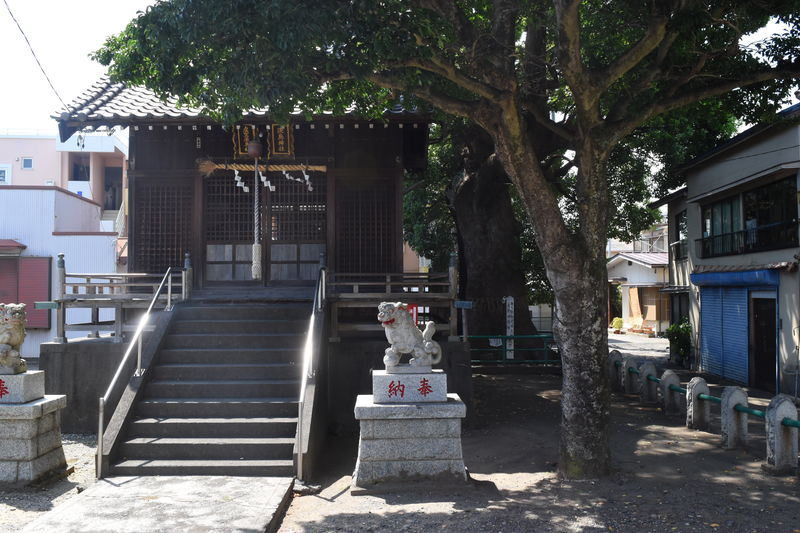 f:id:sakuyaoi:20180830230021j:plain