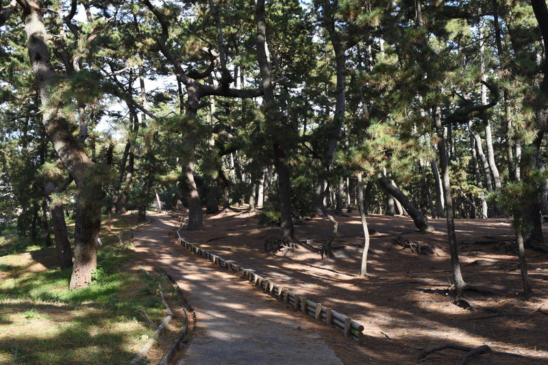 f:id:sakuyaoi:20190202020533j:plain f:id:sakuyaoi:20190202020533j:plain