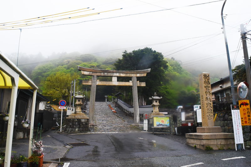 石垣いちご狩り 静岡市久能いちご海岸通りで旬のいちご狩り体験 静岡市観光 グルメブログ みなと町でも桜は咲くら