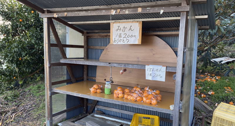 f:id:sakuyaoi:20200106051506j:plain
