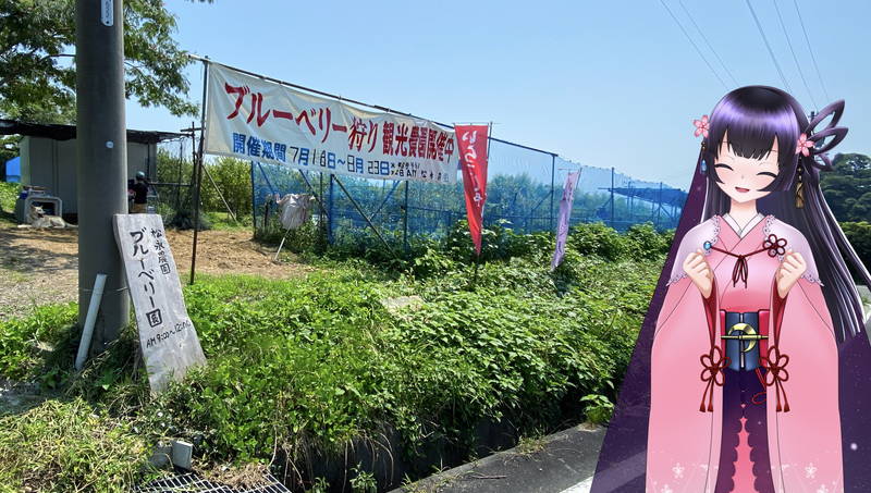 f:id:sakuyaoi:20200805171511j:plain f:id:sakuyaoi:20200805171511j:plain