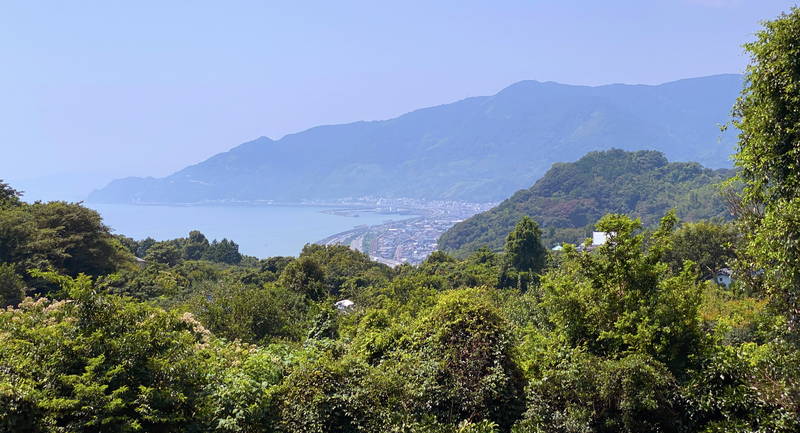 f:id:sakuyaoi:20200805171517j:plain f:id:sakuyaoi:20200805171517j:plain