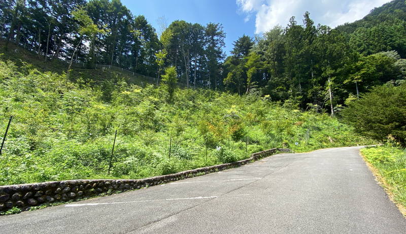 f:id:sakuyaoi:20200821125609j:plain