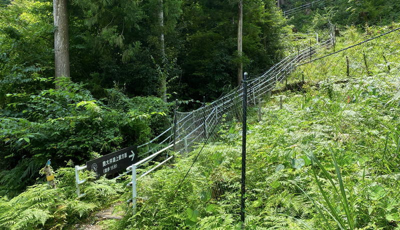 f:id:sakuyaoi:20200821125612j:plain