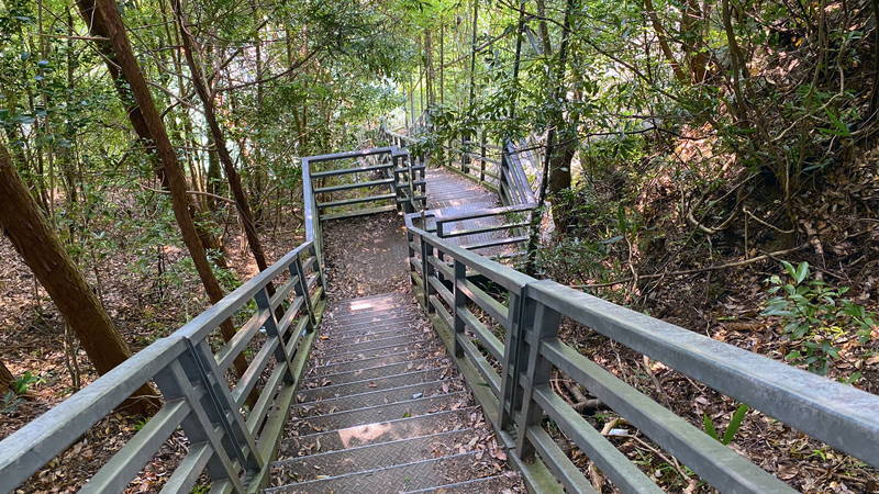 f:id:sakuyaoi:20200821125620j:plain