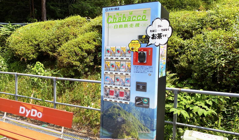 f:id:sakuyaoi:20200821125637j:plain