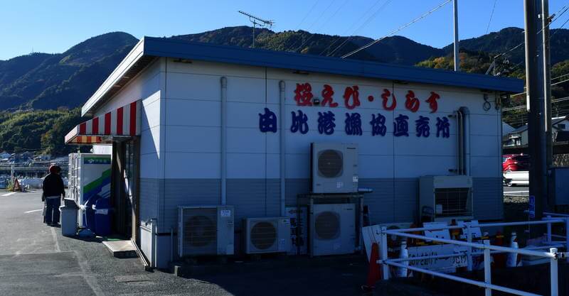 f:id:sakuyaoi:20210131165432j:plain