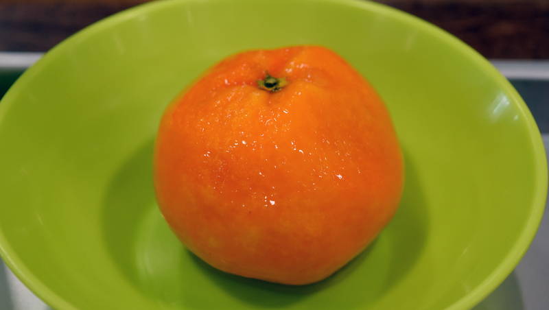 f:id:sakuyaoi:20210318015117j:plain