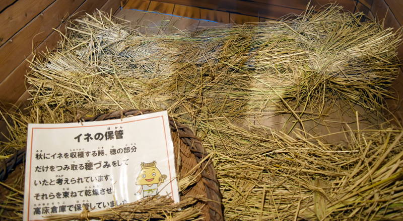 f:id:sakuyaoi:20210405102035j:plain