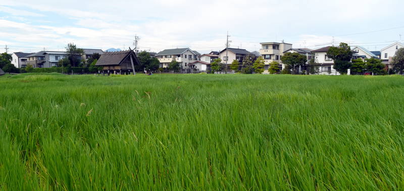 f:id:sakuyaoi:20210405102121j:plain