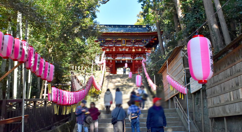 f:id:sakuyaoi:20210809235336j:plain