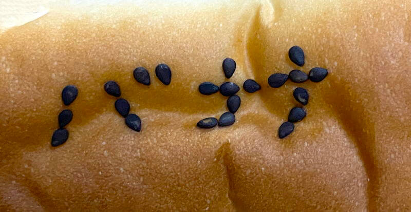 f:id:sakuyaoi:20211014192518j:plain