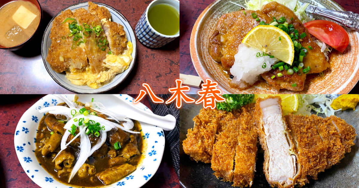 とんかつ八木春』清水駅前のボリューム抜群な老舗とんかつ店！ - 静岡