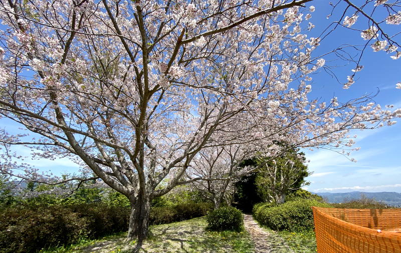 f:id:sakuyaoi:20220407023036j:plain