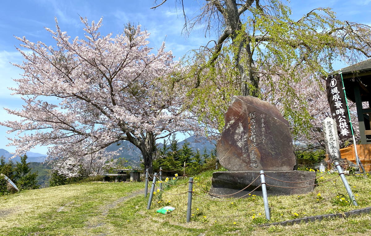 f:id:sakuyaoi:20220407023041j:plain