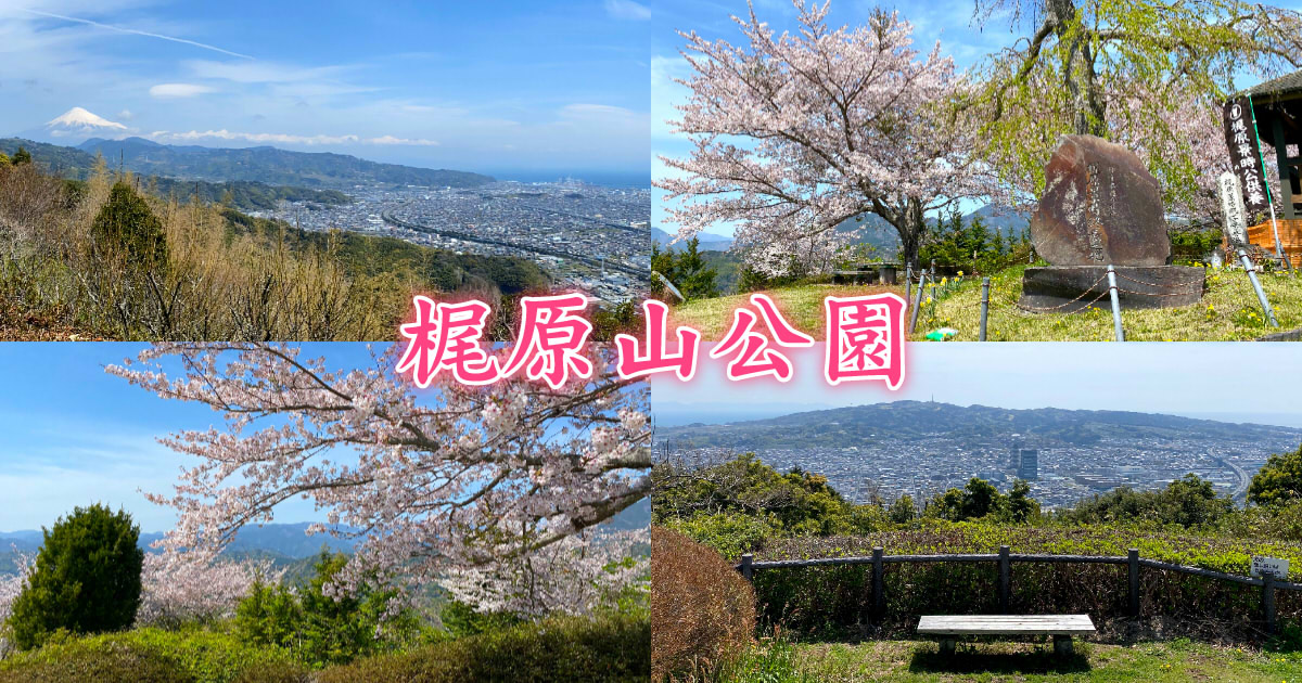 梶原山公園 景時終焉の地と静岡を一望する花見 夜景名所 静岡市観光 グルメブログ みなと町でも桜は咲くら