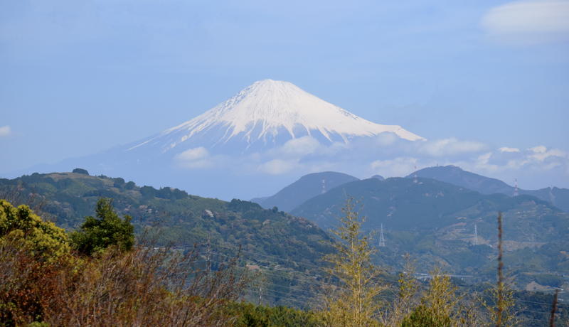 f:id:sakuyaoi:20220407023051j:plain