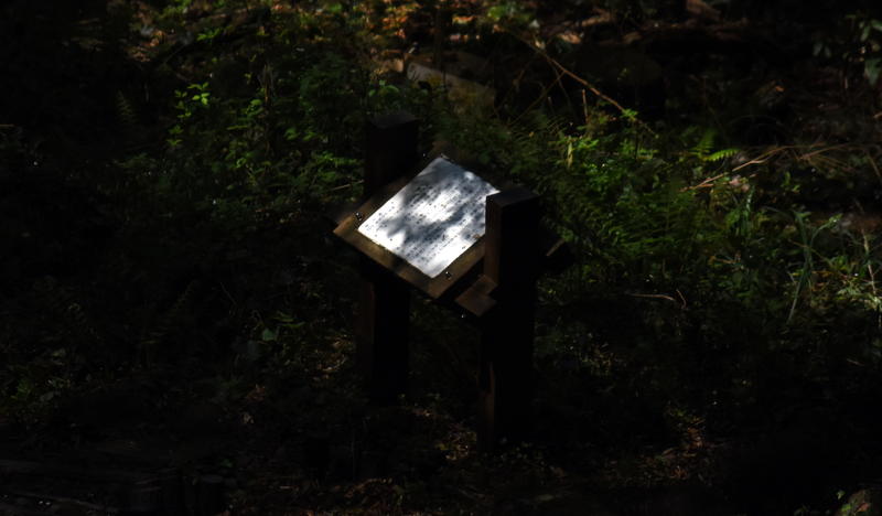 f:id:sakuyaoi:20220407023055j:plain