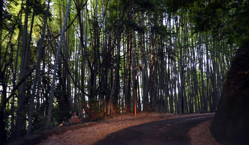 f:id:sakuyaoi:20220407023058j:plain