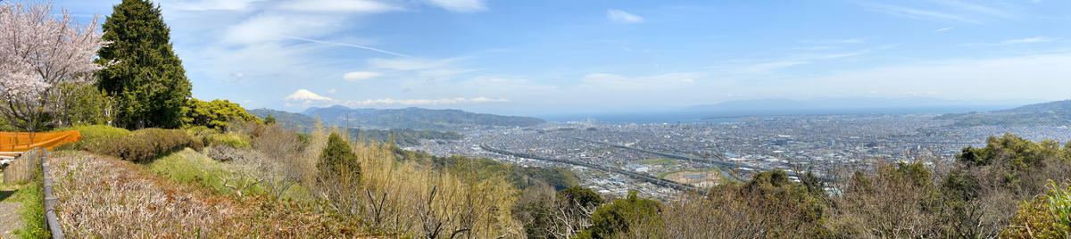 f:id:sakuyaoi:20220407034656j:plain