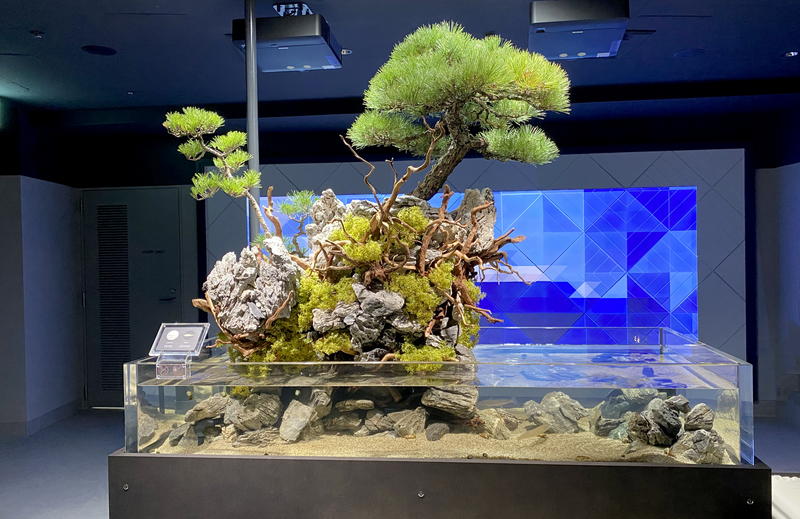 スマートアクアリウム静岡』松坂屋静岡店の和お洒落な水族館！ - 静岡