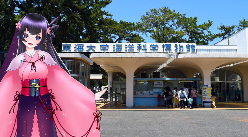 東海大学海洋科学博物館 清水区三保の学べる水族館 23年3月末まで 静岡市観光 グルメブログ みなと町でも桜は咲くら 東海大学海洋科学博物館 清水区三保の学べる水族館 23年3月末まで 静岡市観光 グルメブログ みなと町でも桜は咲くら