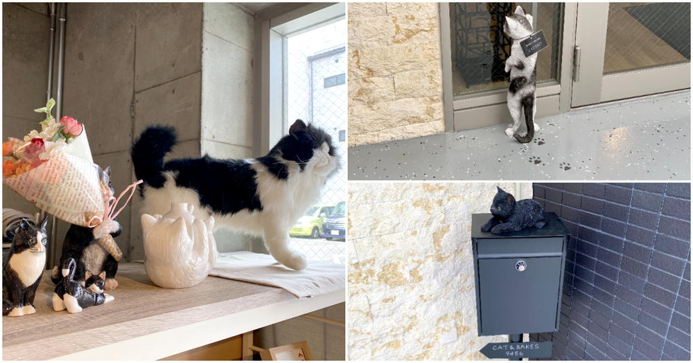 CAT＆BAKES 9456』鷹匠のネコ愛溢れるベーカリー！ - 静岡市観光
