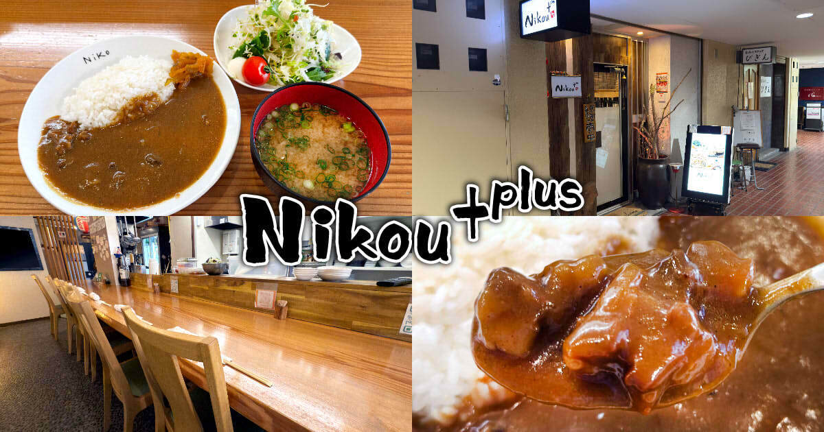 Nikou plus アイキャッチ