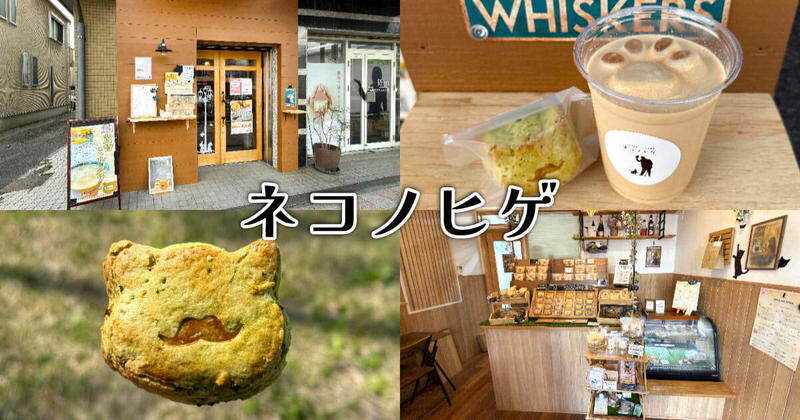 ネコノヒゲ